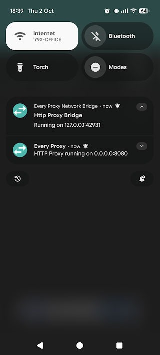 every proxy汉化版截图1