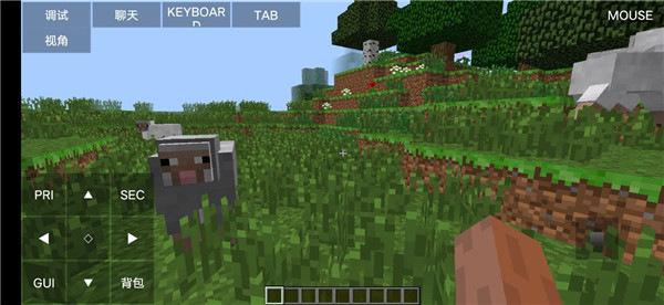 我的世界国际版1.22