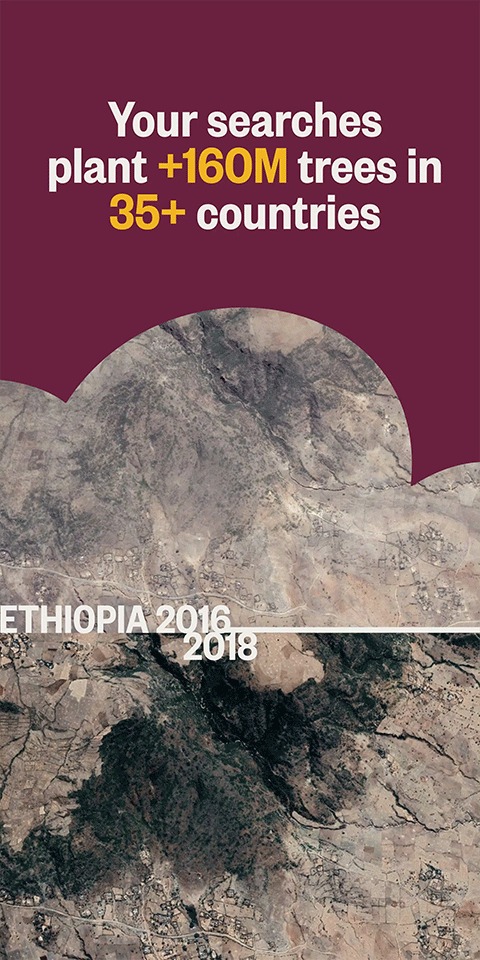 ecosia浏览器中文版截图2
