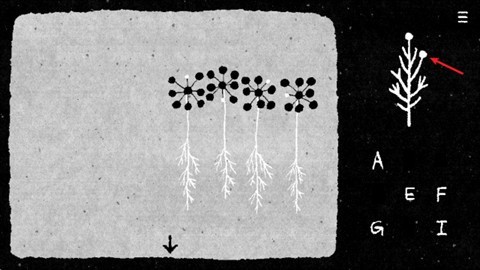 她的树谜题梦手机版截图1