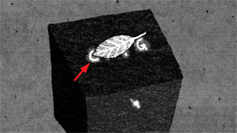 她的树解谜之梦手机版