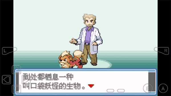 口袋妖怪永恒之焱手机版截图0