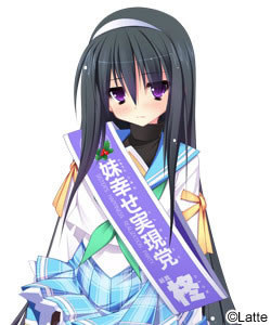 312 - 妹选拔总选举 妹選抜☆総選挙 ～365人の妹いちゃラブマニフェスト～简体中文汉化硬盘版网盘下载 20130624154726583.jpg