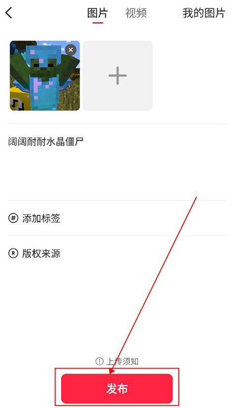 汽水壁纸手机版