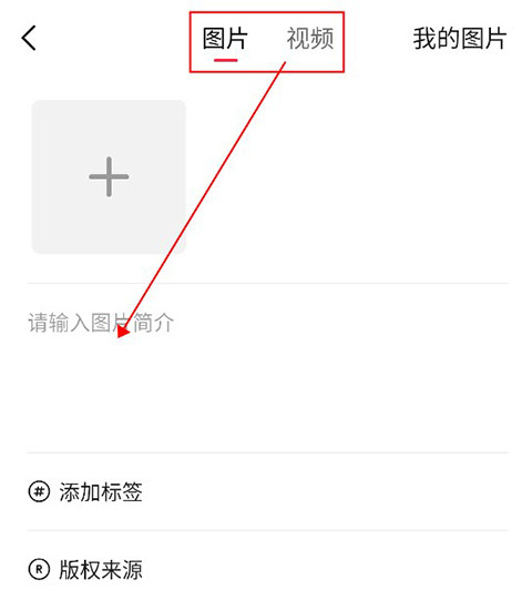 汽水壁纸手机版
