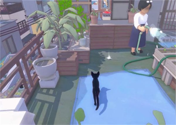 小猫咪大城市手机移动端版