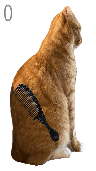 给猫梳毛游戏截图4