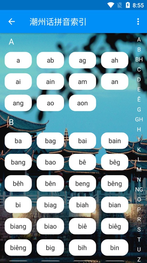 潮州音字典手机版截图1