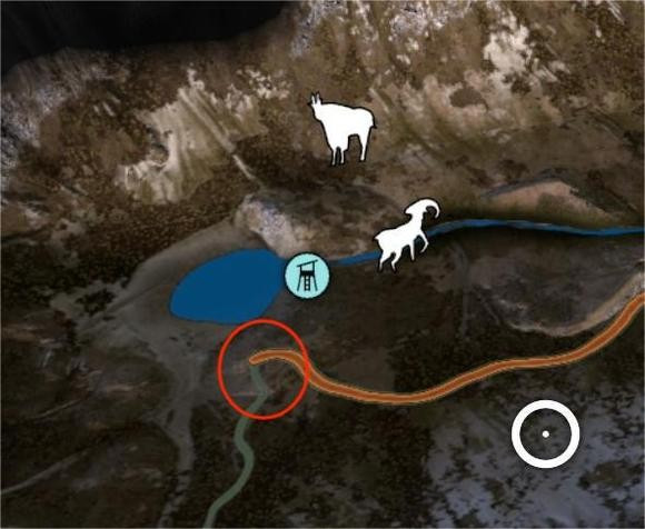 狩猎之道兼容版