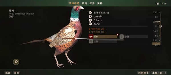 狩猎之道兼容版