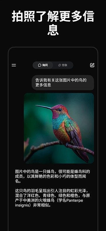 grokai中文版截图4