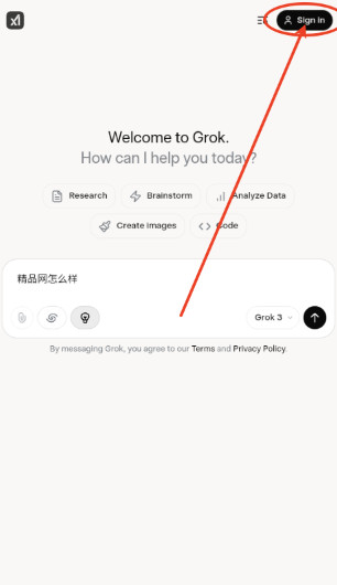 grokai中文版