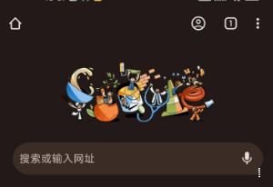 谷歌浏览器移动版