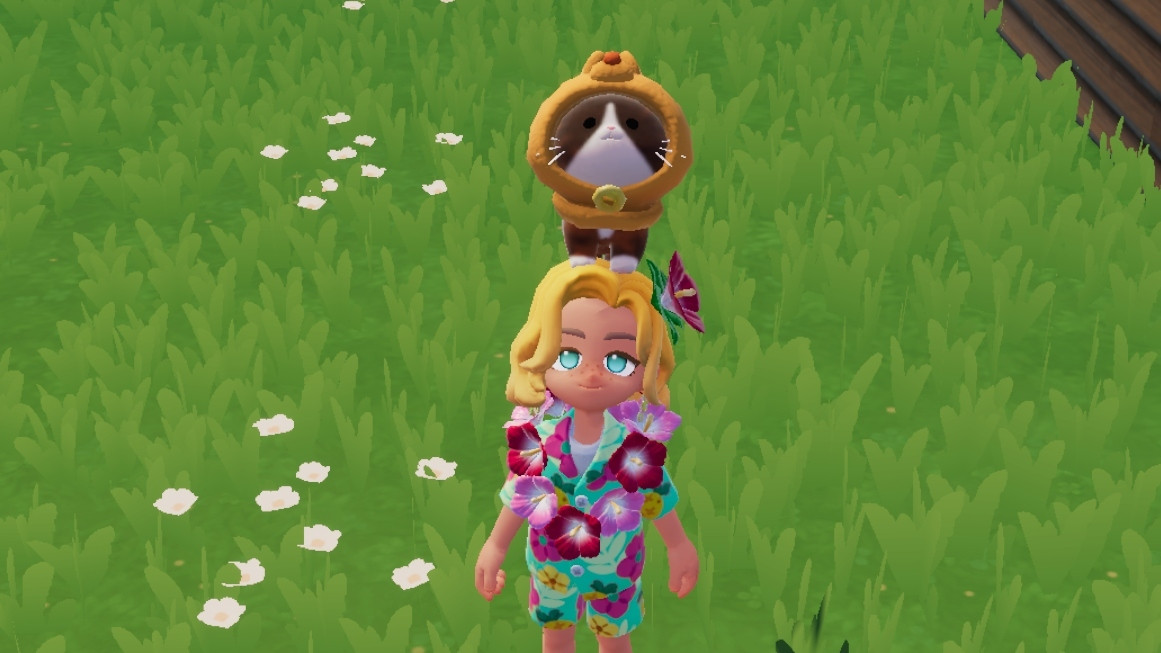 心动小镇国际服