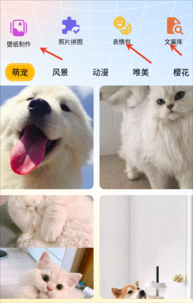 趣美壁纸