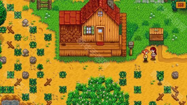 星露谷物语1.6.9汉化版截图3