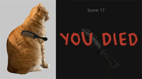 给猫梳毛手机版截图2