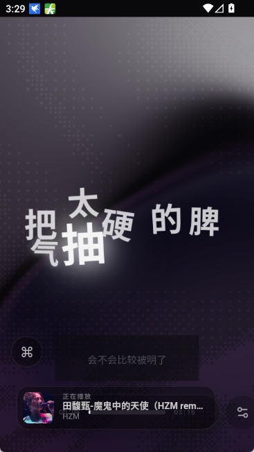 folia播放器截图3