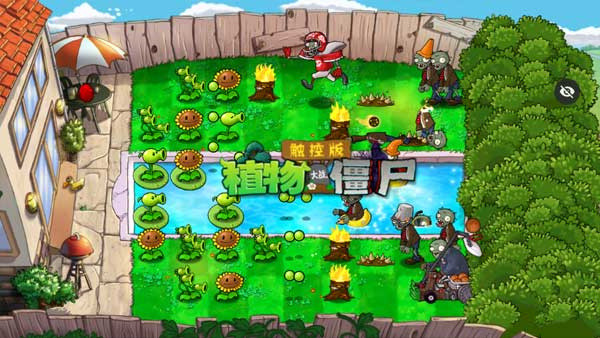 植物大战僵尸随机植物版本