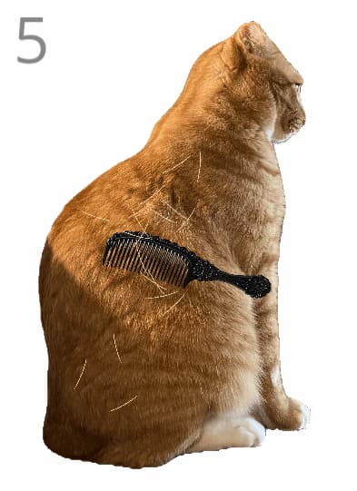 给猫梳毛手游截图1