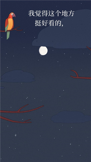 孤独的鸟儿完整版