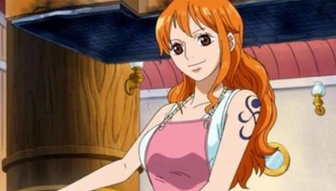 海贼王一片欲望