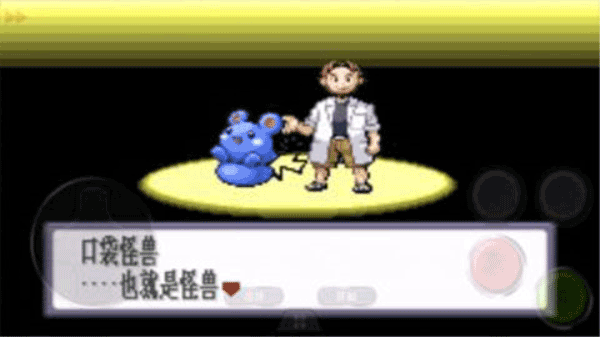 口袋妖怪红宝石中文版截图4