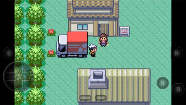 口袋妖怪红宝石中文版截图3