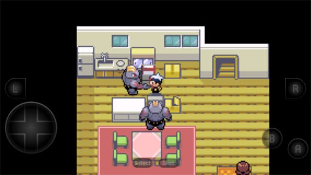 口袋妖怪红宝石中文版截图0