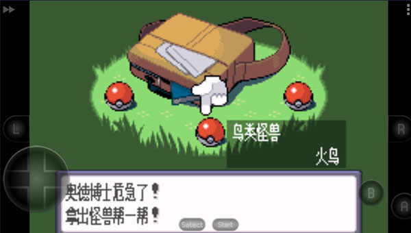 口袋妖怪蓝宝石386截图2