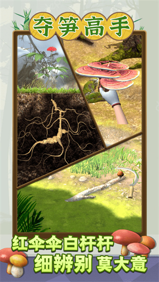 夺笋高手手机版截图2