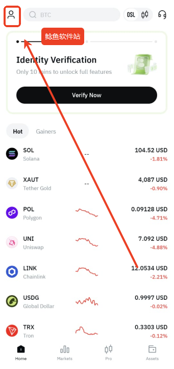 osl交易所全球版怎么调整为中文