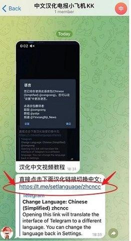 TelegeramX灰色版本