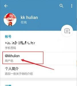 TelegeramX灰色版本