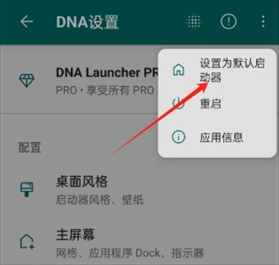 DNA桌面中文版