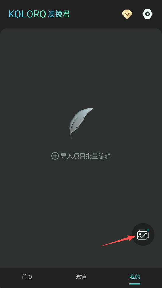 Koloro滤镜君
