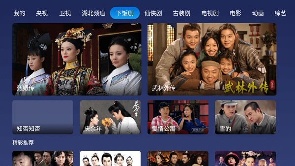 小鲸电视tv安装包截图3