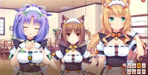 猫娘乐园2冷狐版