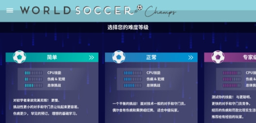 世界足球冠军
