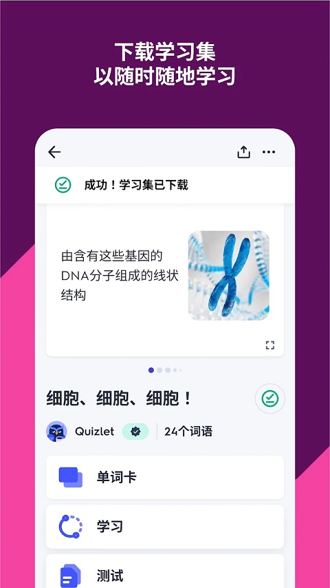 quizlet中文版截图0