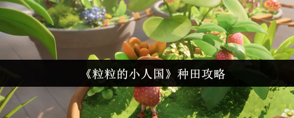 粒粒的小人国国际服