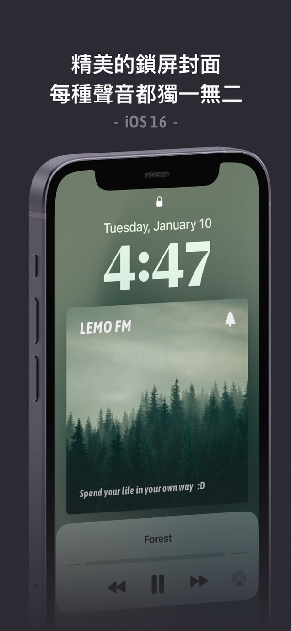 lemofm截图2