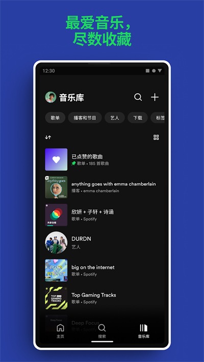 spotify音乐播放器截图4