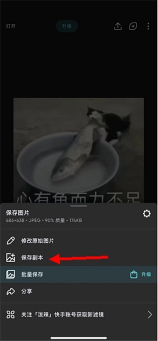 polarr修图中文版