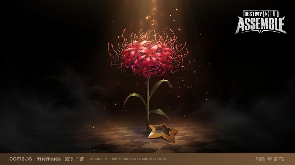 命运之子集结