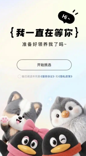 qq轻聊版官方版怎么养qq宠物