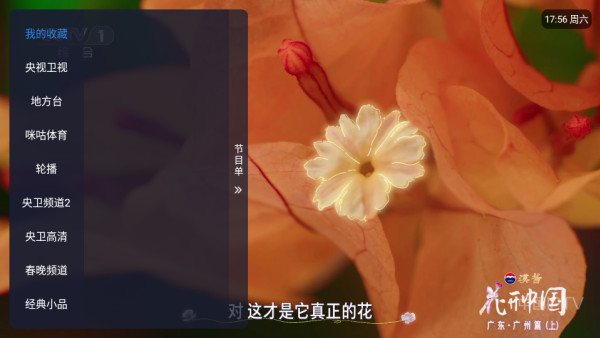 涛涛tv电视版