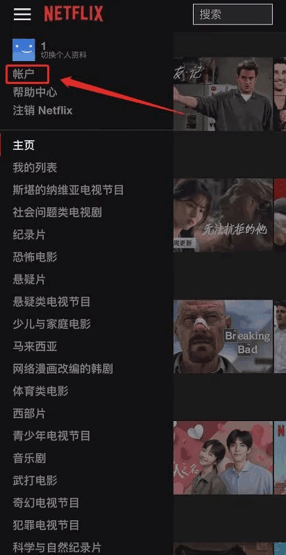 奈飞netflix