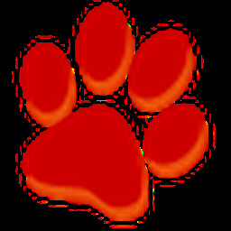 大猫影院app