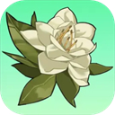 小城茉莉手机版